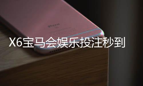 X6宝马会娱乐投注秒到账吗?实测到账速度与充值技巧分享