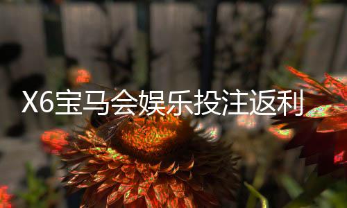 X6宝马会娱乐投注返利高吗?揭秘高返利活动与实战技巧