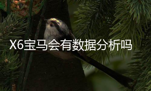 X6宝马会有数据分析吗？深度解析平台数据监测与玩家策略优化