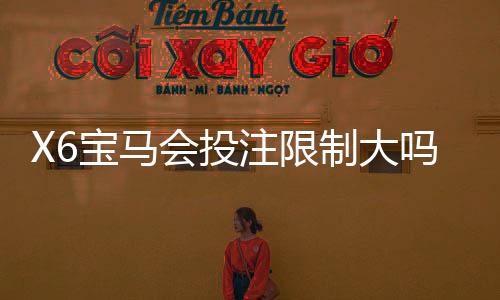 X6宝马会投注限制大吗?深度解析平台规则与下注技巧