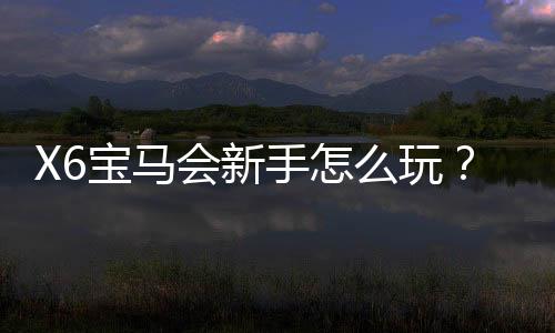 X6宝马会新手怎么玩?入门指南与实战技巧分享