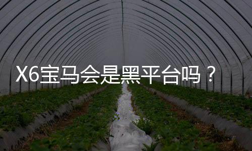 X6宝马会是黑平台吗?深度解析其安全性与玩家真实体验