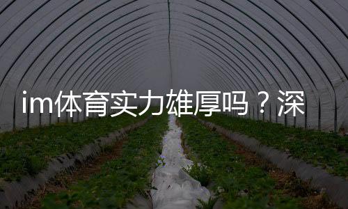 im体育实力雄厚吗?深度解析其平台优势与玩家真实体验