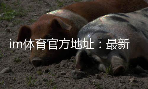im体育官方地址:最新官网入口及安全投注指南