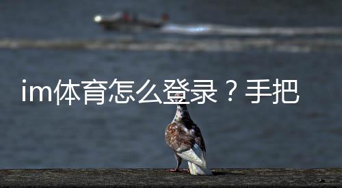 im体育怎么登录?手把手教你轻松进入游戏平台