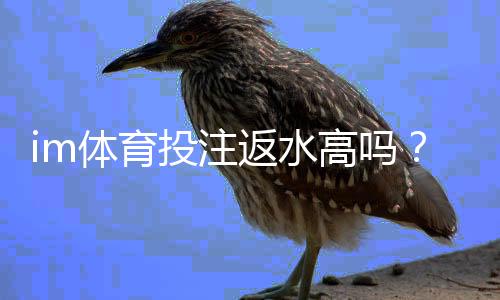 im体育投注返水高吗?揭秘高返水平台的真实福利