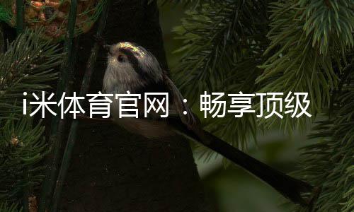i米体育官网:畅享顶级体育赛事与在线投注体验