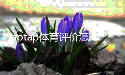 taptap体育评价怎么样?真实玩家测评与功能优缺点全面解析